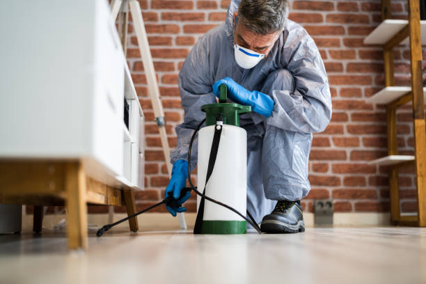 Best Real Estate Pest Inspections  in Merced, CA